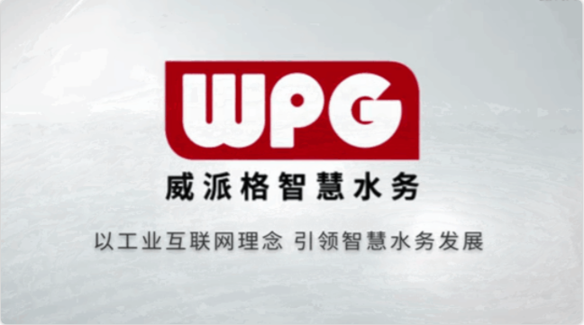 http://www.gsslxh.com上海威派格智慧水务股份有限公司